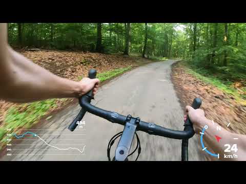 Forest Descent With A Orbea Terra Gravel Bike And GoPro 9